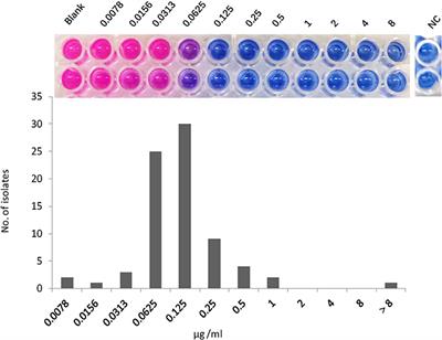 In vitro and intracellular inhibitory activities of nosiheptide against Mycobacterium abscessus